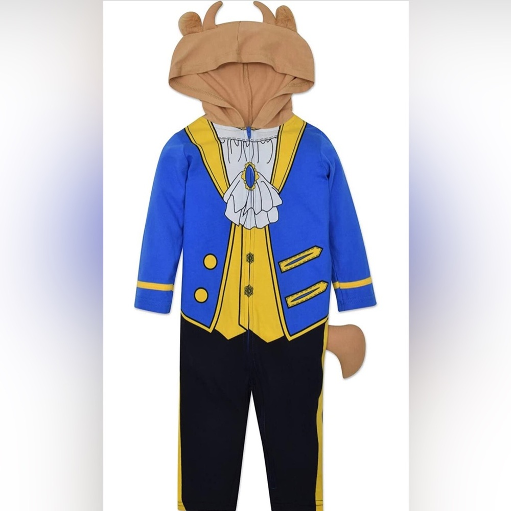 Beauty and the Beast Costume